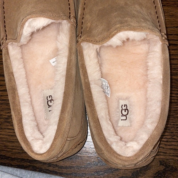 Ugg Mens Ascot Slipper - Picture 7 of 7
